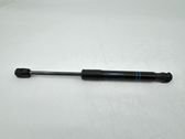 Front bonnet/hood damper/strut
