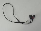 Other wiring loom