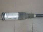 Front shock absorber/damper