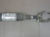 Front shock absorber/damper