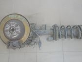 Rear shock absorber with coil spring