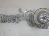 Rear shock absorber with coil spring