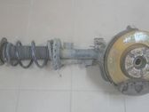 Front shock absorber with coil spring
