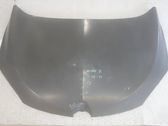 Motorhaube