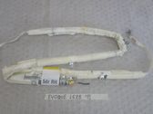 Airbag de toit