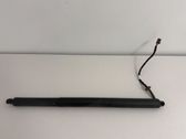 Tailgate/trunk strut/damper