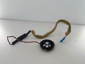 Front door high frequency speaker