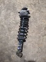 Rear shock absorber with coil spring