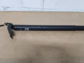 Tailgate/trunk strut/damper