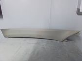 (A) pillar trim
