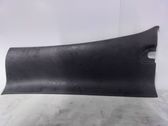 (C) pillar trim