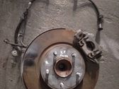 Rear wheel hub