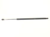 Tailgate/trunk strut/damper