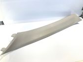 (A) pillar trim