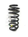 Rear coil spring