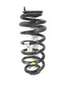 Rear coil spring