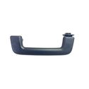 Front interior roof grab handle