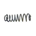 Rear coil spring