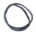 Rear door rubber seal (on body)