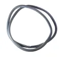 Rear door rubber seal (on body)