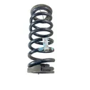 Rear coil spring