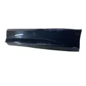 Rear door trim (molding)