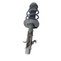 Front shock absorber with coil spring