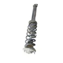 Rear shock absorber with coil spring