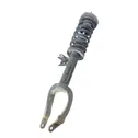 Front shock absorber with coil spring