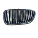 Front bumper upper radiator grill