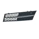 Front bumper lower grill