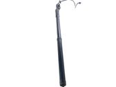 Tailgate/trunk strut/damper