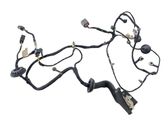 Front door wiring loom