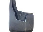 Rear mudguard