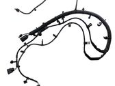 Other wiring loom