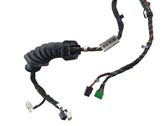 Other wiring loom