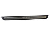 Front sill trim cover