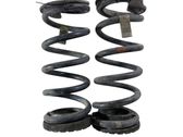 Rear coil spring