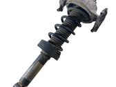 Rear shock absorber with coil spring