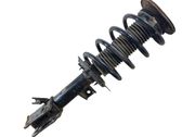 Front shock absorber with coil spring