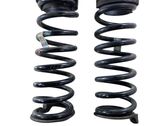 Rear coil spring