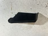 Rear/tail light trim molding