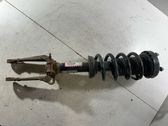 Front shock absorber with coil spring