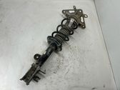 Rear shock absorber with coil spring