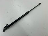 Tailgate/trunk strut/damper