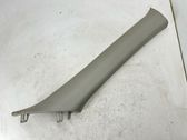 (A) pillar trim