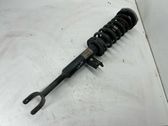 Front shock absorber with coil spring
