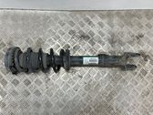 Front shock absorber with coil spring