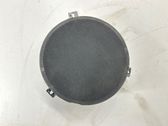 Rear door speaker
