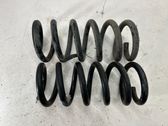 Rear coil spring